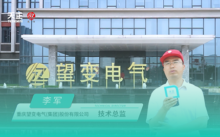 利来w66国际官方旗舰厅网页版x望变电气